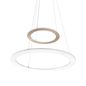 Preview: Hell Mica LED Pendelleuchte Dimmbar CCT Rose/gold 20411/2-74