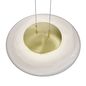 Preview: Hell Findus LED Pendelleuchte 5-fach Warmweiss Dimmbar CCT Messing 20609/1-01