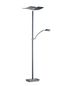 Preview: Hell Duo LED Stehleuchte Dimmbar 182cm CCT Anthrazit matt 60367/2-39