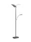 Preview: Hell Dual LED Stehleuchte 3-fach Dimmbar 182cm CCT Bronze 60458/2-15