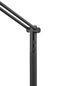 Preview: Hell Evolo LED Stehleuchte Dimmbar 146cm CCT Schwarz 60538/1-06