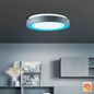 Preview: Brilliant Tessy LED Deckenleuchte 39cm 22W Anthrazit Weiß Chrom Nachtlicht G97191/63