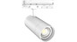 Preview: Dotlux 5775-099060 LED-Tracklight ZOOMtrack max.33W POWERselect & COLORselect weiss