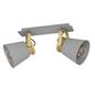 Preview: Eglo 43836 TWICKEN E27 2-fach Deckenleuchte 370x205mm Grau Gold