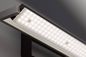 Preview: Fischer & Honsel Pare TW LED Wandleuchte 13,7W Tunable white steuerbar dimmbar Acrylglas sandschwarz 30278