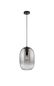 Preview: Fischer & Honsel Trace Pendelleuchte E27 Glas rauchfarben schwarz 60713