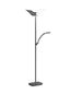 Preview: Hell Andy LED Stehleuchte Dimmbar 185cm CCT Bronze 60556/2-15