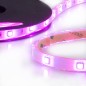 Preview: ISOLED LED AQUA-RGB Flexband Streifen, 24V, 7,2W, IP68, 30 LED/m