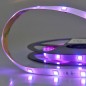 Preview: ISOLED LED SIL-RGB Flexband Streifen, 12V, 7,2W, IP66, 30 LED/m