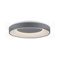 Preview: JUST LIGHT ANIKA LED Deckenleuchte Steuerbare Lichtfarbe 26,5W Grau/Weiß 14326-18