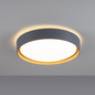 Preview: JUST LIGHT EMILIA LED Deckenleuchte Warmweiss 29W Grau/Weiß 14347-15