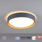 Preview: JUST LIGHT EMILIA LED Deckenleuchte Warmweiss 29W Grau/Weiß 14347-15