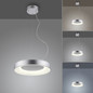 Preview: JUST LIGHT KETO ANIKA LED Pendelleuchte Steuerbare Lichtfarbe 26,5W Silber/Weiß 60-120cm 17075-21