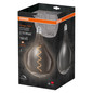 Preview: OSRAM LED Lampe Vintage 1906 Big Special Shapes 4.5W 817 Smoke E27 Dimmbar Warmweiss 4058075760998