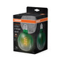 Preview: OSRAM LED Lampe Vintage 1906 Big Special Shapes 4.5W 816 Green E27 Dimmbar Warmweiss 4058075761858