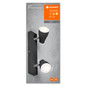 Preview: LEDVANCE LED Spot SPOT PEAR BLACK 2 x 4.3W 2700K GU10 Warmweiss 4058075826595