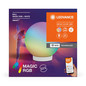 Preview: LEDVANCE LED Tischleuchte SMART+ BALL MAGIC RGB RGBW USB Dimmbar RGBTW Farbwechsel / steuerbare Lichtfarbe 4058075831735