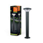 Preview: LEDVANCE LED Außenleuchte Endura Hybrid Bollard Olona 50cm 2W Dark Gray Warmweiss 4058075834484