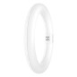 Preview: LEDVANCE LED Ringröhre T9 EM KVG 11W 830 G10Q G10q 1200lm 3000K warmweiss wie 22W 4099854042447