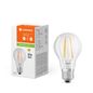 Preview: LEDVANCE LED CLASSIC A 6.5W 840 klar E27 Lampe 806lm 4000K neutralweiss wie 60W 4099854062667