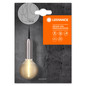 Preview: LEDVANCE Pendelleuchte Vintage 1906 PenduLum Round Chrome 4099854092602