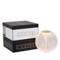 Preview: Lucide CINTRA LED Tischlampe 3-Stufen-Dimmer 2W dimmbar Transparent, Mattes Gold, Messing 95Ra 13599/02/60