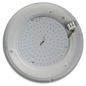 Preview: Niermann LED 8W Deckenleuchte Opal matt Glas, Messing poliert, 25cm, warmweiss, Made in Germany