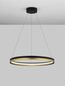 Preview: Nova Luce CANTRIA LED Pendelleuchte Schwarz 33W Warmweiss 150x60cm dimmbar 9695238