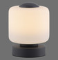Preview: Paul Neuhaus BOTA LED Tischleuchte Warmweiss 5W 15,5-15cm 4037-13
