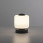Preview: Paul Neuhaus BOTA LED Tischleuchte Warmweiss 5W 15,5-15cm 4037-13