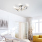 Preview: Paul Neuhaus TANJA LED Deckenleuchte Warmweiss 30W 8321-17