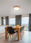 Preview: Trio Iseo LED Deckenleuchte  24W ⌀40cm dimmbar Holzfarbig warmweiss