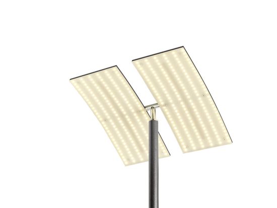 Hell Dual LED Stehleuchte Dimmbar 182cm CCT Bronze 60454/1-15