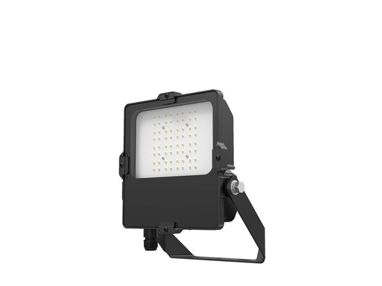 Dotlux 4864-150036 LED-Fluter LENSplus 50W 5000K 30*60° Abstrahlwinkel