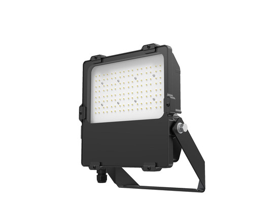 Dotlux 4865-150065 LED-Fluter LENSplus 100W 5000K 60*120° Abstrahlwinkel