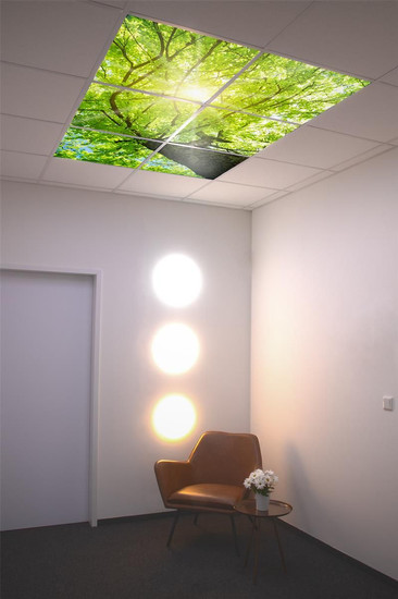 Dotlux M01-01010620 Motivplatte SKYLIGHT für Einbaupanels Motiv 1 Raster 1x1 für 620x620