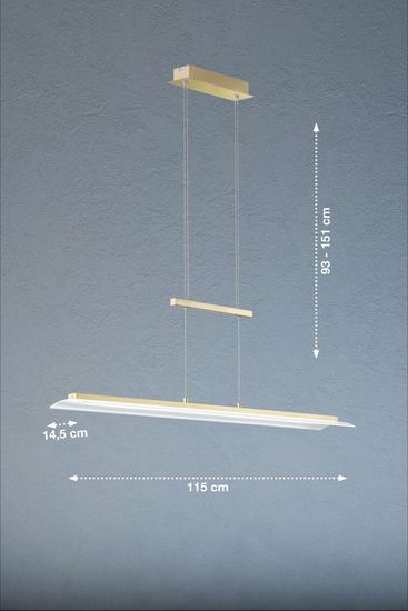 Fischer & Honsel Roof LED Pendelleuchte 28,8W Tunable white steuerbar dimmbar Abdeckglas teilsatiniert Rand klar messing 60563