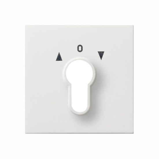 Gira 0664112 Abdeckung Schlüsselschalter/-taster Flächenschalter Reinweiß
