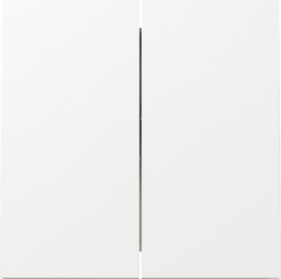 Gira 329570 Wippe 2-fach Flächenschalter Reinweiß