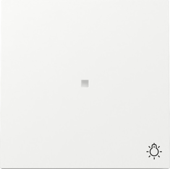 Gira 367470 Wippe Kontrollfür + Symbol Licht Flächenschalter Reinweiß