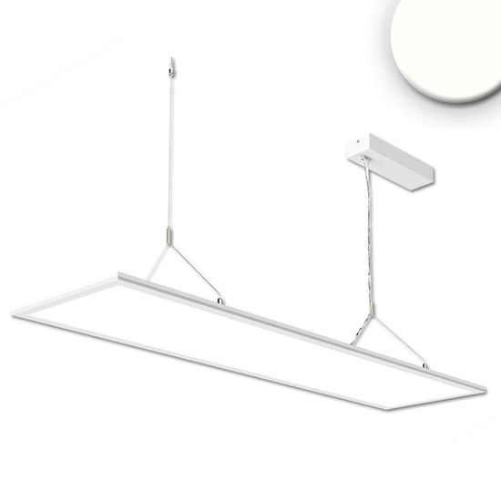 ISOLED LED Office Hängeleuchte Up+Down, 20+20W, 30x120cm, weiß, UGR<19, 4000K, DALI dimmbar