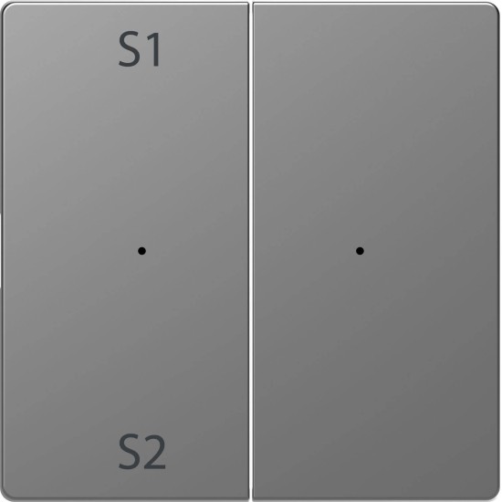 Merten MEG5226-6036 Wippen für Taster-Modul 2fach (Szene1/2, blank), Edelstahl, System Design