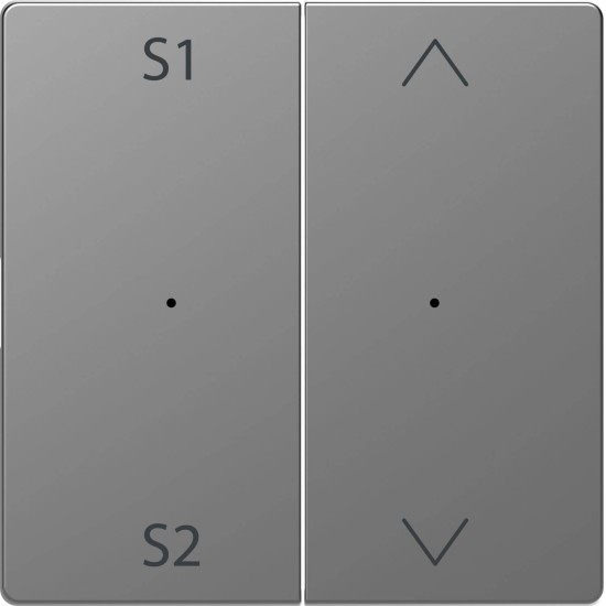 Merten MEG5227-6036 Wippen für Taster-Modul 2fach (Szene1/2, Auf/Ab), Edelstahl, System Design