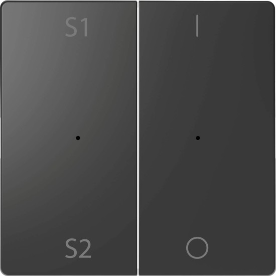 Merten MEG5228-6034 Wippen für Taster-Modul 2fach (Szene1/2, 1/0), Anthrazit, System Design