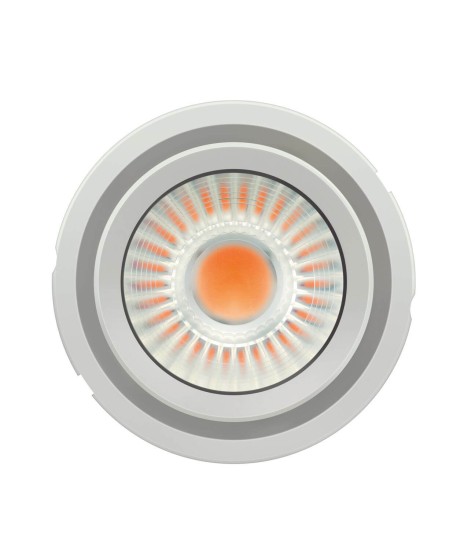 OSRAM PrevaLED COIN LED-Modul 111 COB G2 2800-830-40D-G2 2560lm 3000K warmweiss 4052899620995