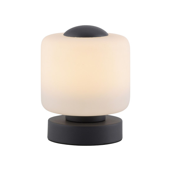 Paul Neuhaus BOTA LED Tischleuchte Warmweiss 5W 15,5-15cm 4037-13