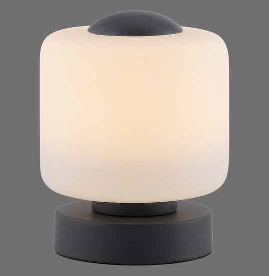 Paul Neuhaus BOTA LED Tischleuchte Warmweiss 5W 15,5-15cm 4037-13