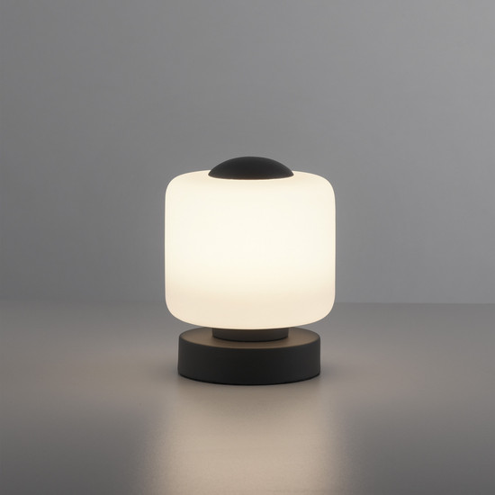 Paul Neuhaus BOTA LED Tischleuchte Warmweiss 5W 15,5-15cm 4037-13