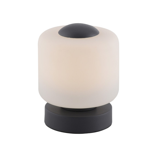 Paul Neuhaus BOTA LED Tischleuchte Warmweiss 5W 15,5-15cm 4037-13