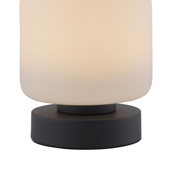Paul Neuhaus BOTA LED Tischleuchte Warmweiss 5W 15,5-15cm 4037-13